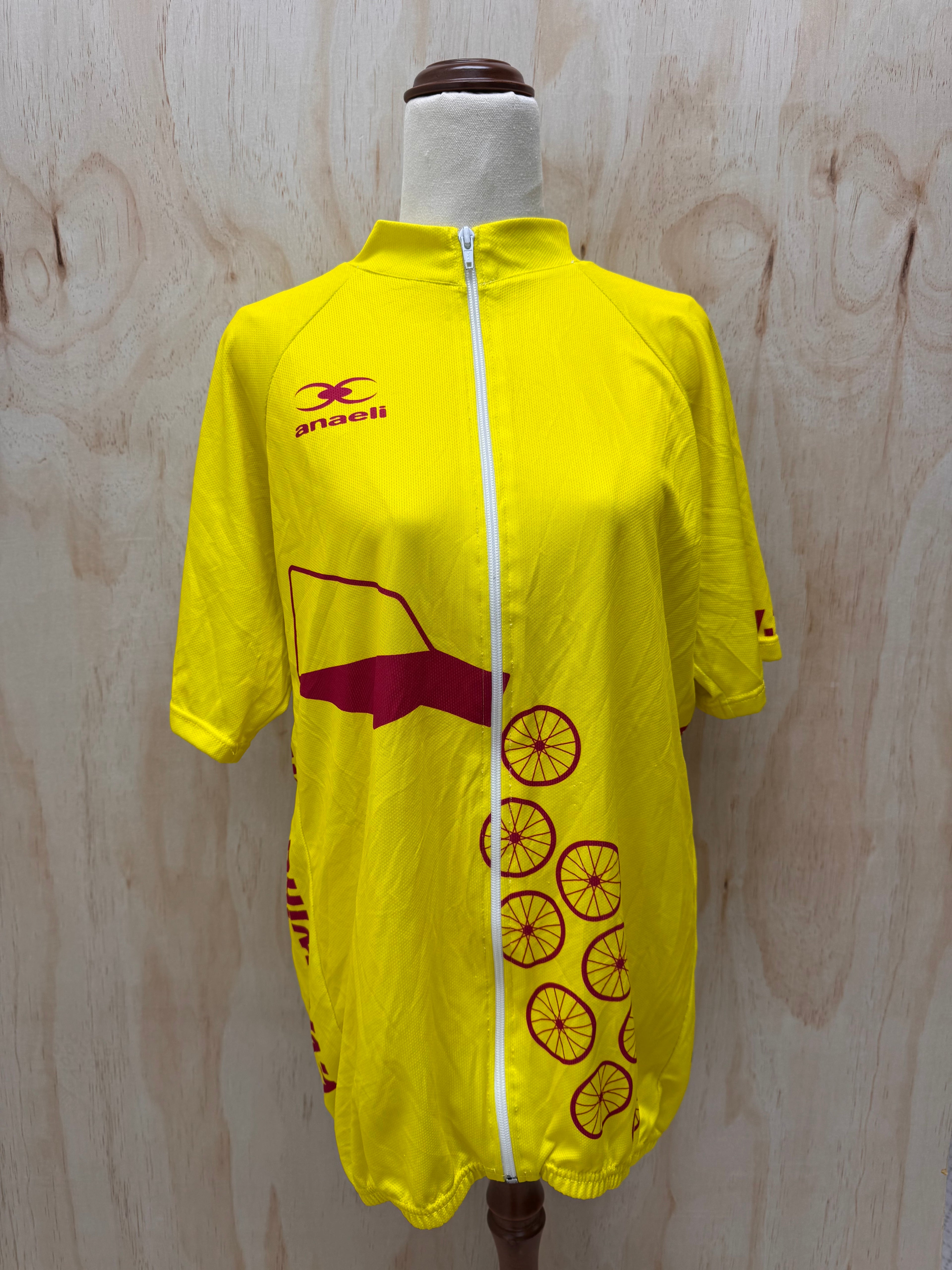 Cycling Shirt - V.V.V 2009