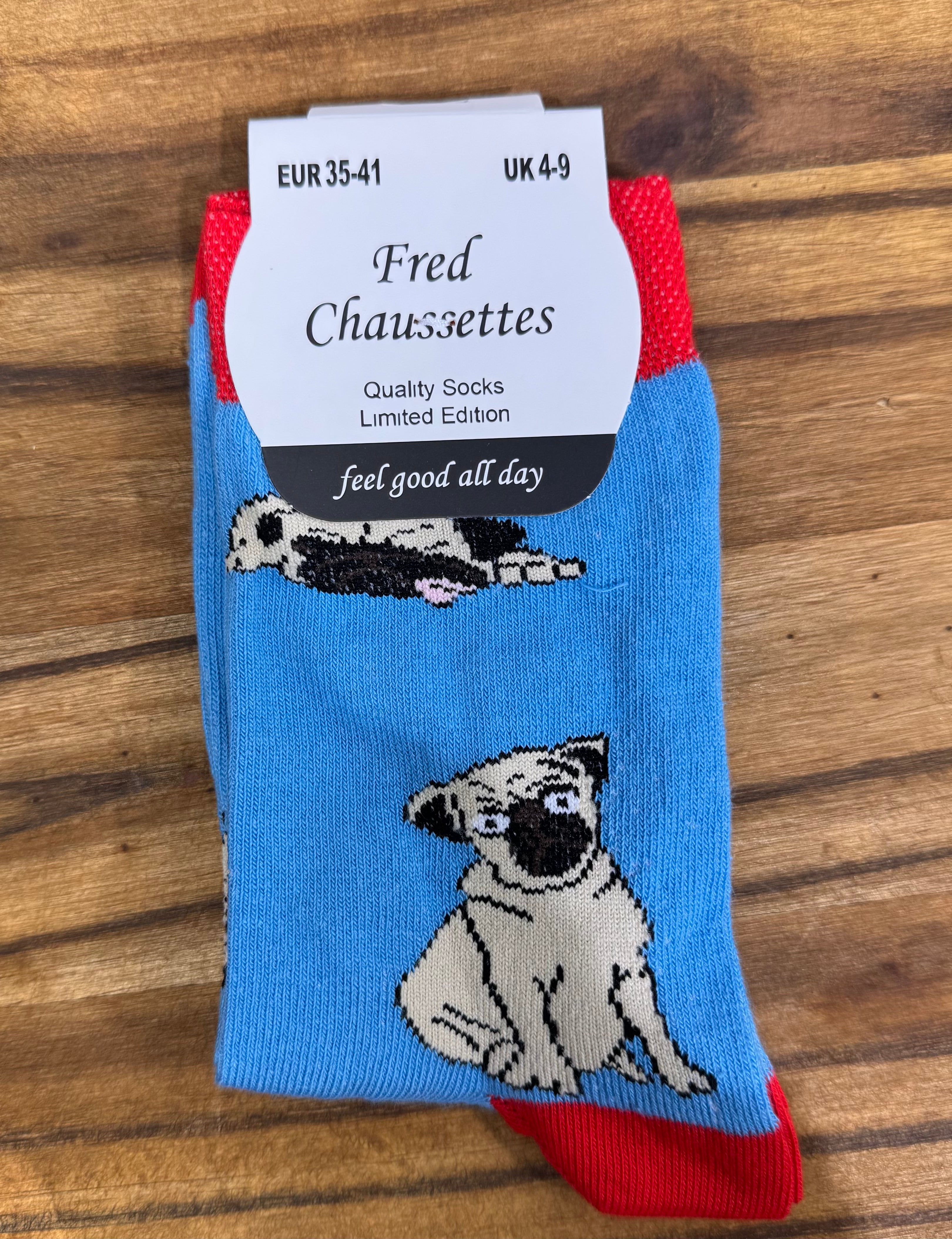 Socks - French Bull Dogs